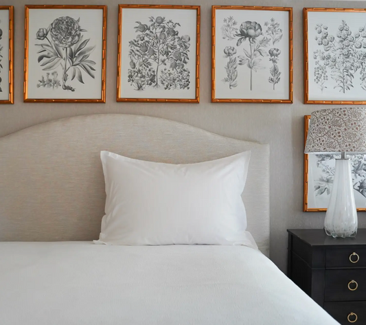 Royal Euro Sham from the Pillow Bar