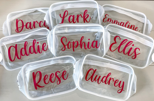 Clear Pouch